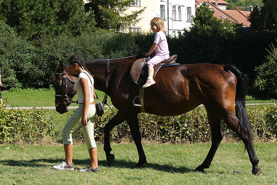 Dětský den v Bučovicích